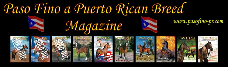Paso Fino Horses